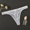Tanga transparente para hombre, calzoncillos de malla transparente, finos, antisépticos, de cintura baja, pornográficos, ropa interior para hombre