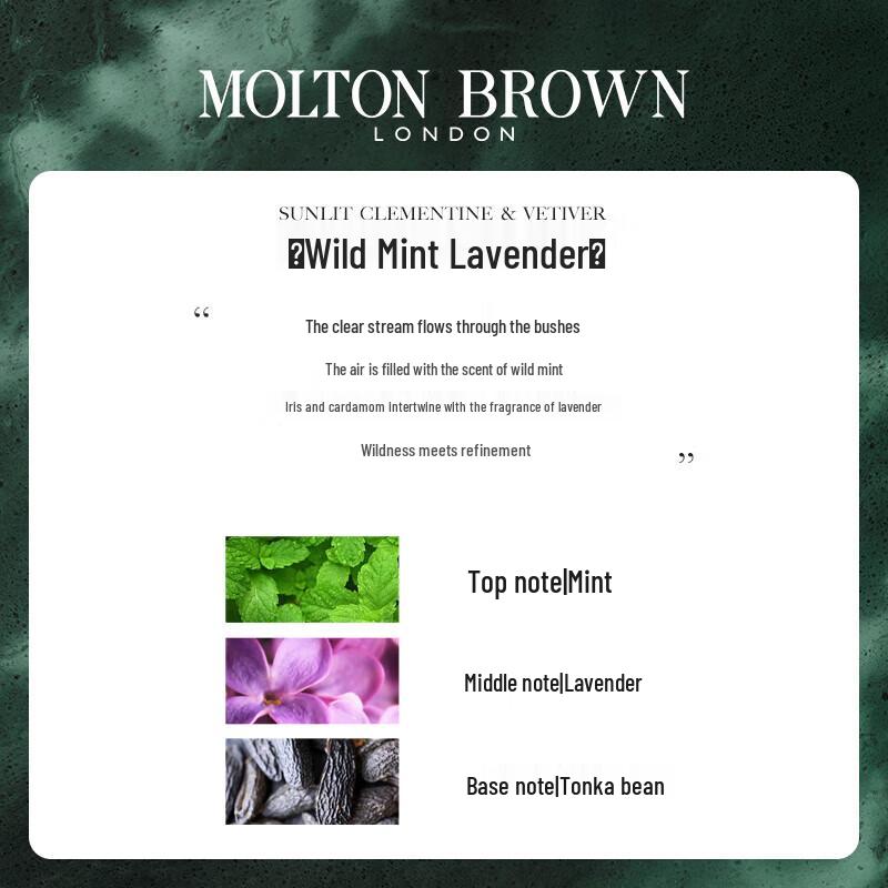 Molton Brown Wild Mint & Lavender Shower Gel & Coastal Cypress Body Lotion Set