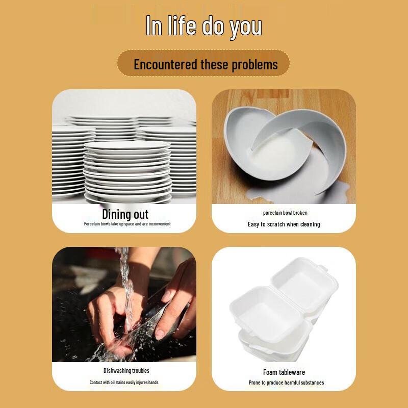 Biodegradable Disposable Square Food Containers