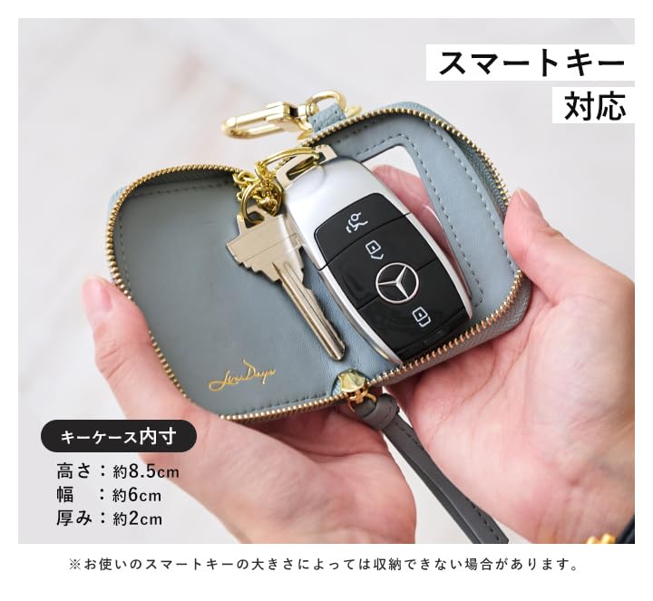 Lizdays Smart Key Case with Clear Small and Round Zipper and Chain Key Ring for Car and House Keyless Cute and Stylish Elephant Design Women's Window,