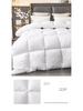 Luxurious Five-Star Hotel Quality Quilt – Winter Thick, Feather Silk Core, Summer Cool, Single/Double Sizes Available.