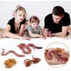 Educational Toys Animals Figurines Children Realistic Life Cycle Salmon Octopus Growth Cycle Model