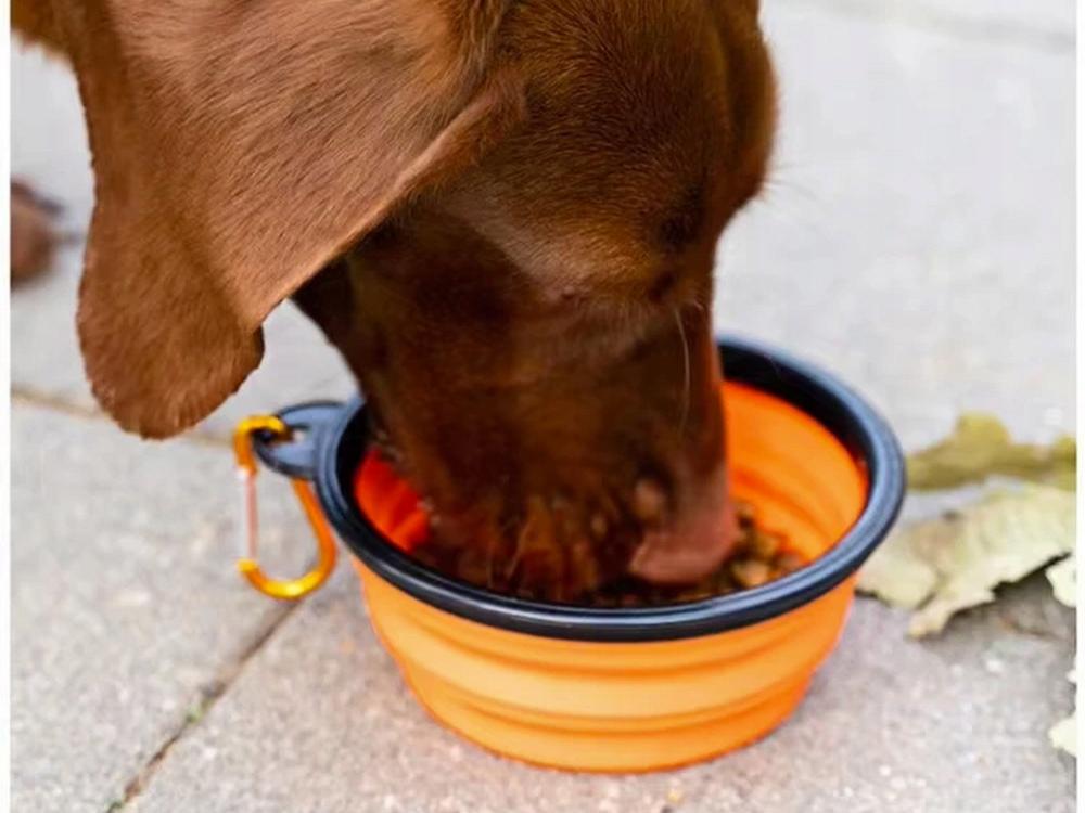 Foldable Dog Bowl Orange (200) Gab_A