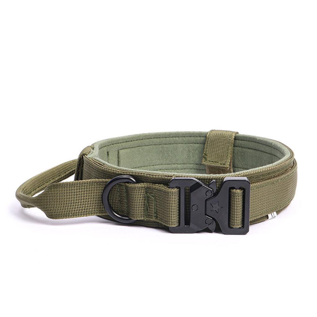 Outdoor Training Tactics For Large  Sized Outdoor Dogs Dog Pet Collar