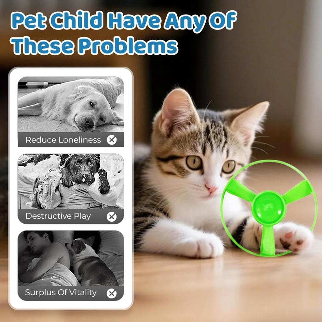 Conjunto de Gato, Novo Brinquedo Interativo para Gato para Enriquecimento Treino de Animais de Estimação Brinquedos para Gatos ao Ar Livre