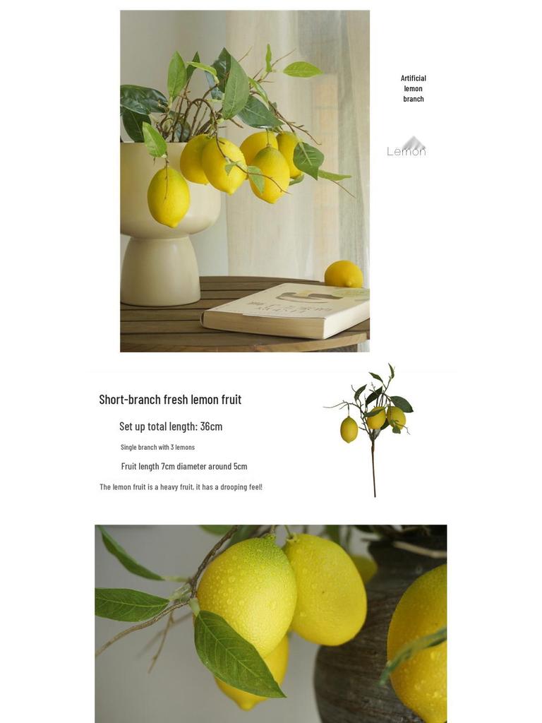 Composizione Floreale Fresca Stile Foresta con Rami di Limone per Decorazione Soggiorno o Vetrine