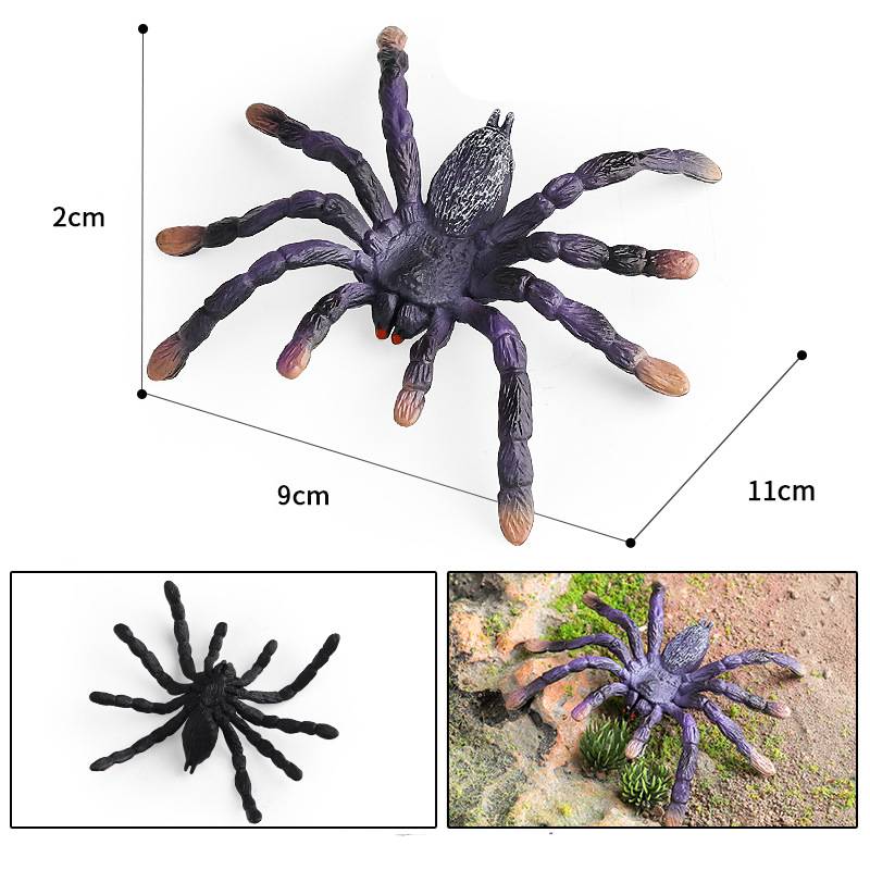 

Giant Pamphobeteus Whiteknee Insignis Nhandu Carapoensis Spider Cognitive Toy StyleA