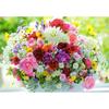 [Appleone] 1000 Piece Jigsaw Puzzle - Life Flower by Appleone