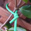 For Plant SupportSoft Twist Ties, Reusable Weatherproof Long Thick Green Rubberised Wire for Climbing Plants Shrubs and Flowers