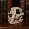Dog Skull Ornament Distressed Resin Halloween Decoration Lifelike Dog Skull for Desktop Fish