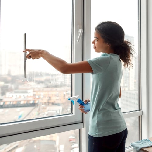 Stainless Steel Window Squeegee, 35cm, for Shower Windows, Window Cleaning, Condensation Removal, Professional Tool, Easy To Clean, Glass Rubber Strip