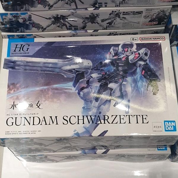 HG Gundam Schwarzette One thing