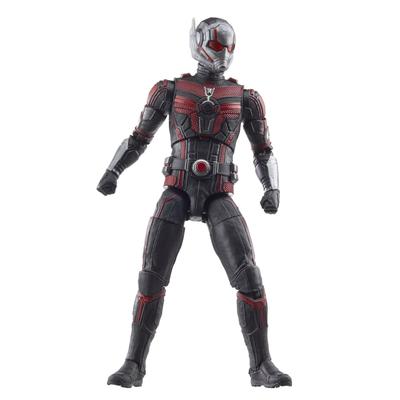 Hasbro Marvel Legends Series Ant-Man, Ant-Man und die Wespe: Quantumania 6 Zoll (15 cm) Actionfigur, Ab 4 Jahren, F6573, Authentisch
