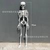 Skull skeleton Halloween horror human body prop pumpkin90Centimeter human skeleton165cm Bone
