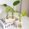 Creative Hydroponic Test Tube Glass Vase Wooden Flower Stand Home Decor Plant Container Desktop Flower Arrangement Stand Ornamen