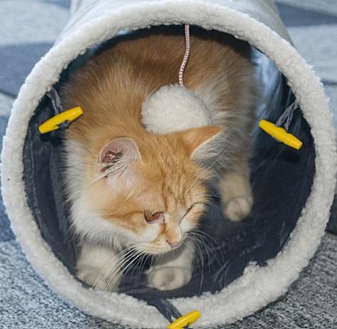 Supplier Indoor Outdoor Plastic Plush Collapsible Pet Toy Play Cat Tunnel
