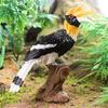 Realistic Toucan Figure Observation Display Static Model Statue Bird Figurine Playhouses Layout Kids Basket Stuffings