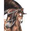 New 5D DIY Diamond Painting Horse Diamond Embroidery Animal Cross Stitch Full Round Drill Crafts Home Decor Manual Gift