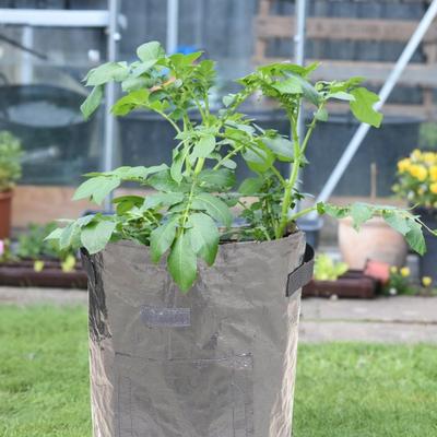 Garden Plant Grow Bag with Reinforced Handle Excellent Drainage Easy To Transport Breathable Reusable Plant Growing Bag