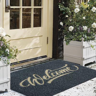 Anti-Scratch Polypropylene Fiber Decorative Removing Dust Non Slip Hallway Kitchen Area Rugs Doormat Doormat