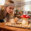 Gerbil Water Bottle Mushroom-Shaped Ceramic Cute Gerbil Water Dispenser For Chinchilla Balcony Cage Apartment Living Room