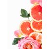 Interesting Sliced Fruits Such As Oranges Lemons And Grapefruits Art Poster Canvas Printed Mural Living Room Bedroom Home Decor