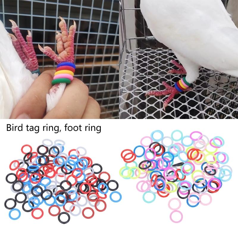 Pack Of 100 Pigeons Identification Rings In Various Color For Better Training Efficiency And Easy Distinction