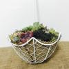 Pot Hanging Garden Planter Succulent Cactus Pot, Assorted Designs