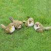 4 Pcs/set Natural Emulational Resin Birds Garden Set Indoor Decorative Crafts Small Ornaments Garden Decor
