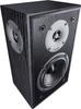 Speaker Monitor S10 D black (2pcs)