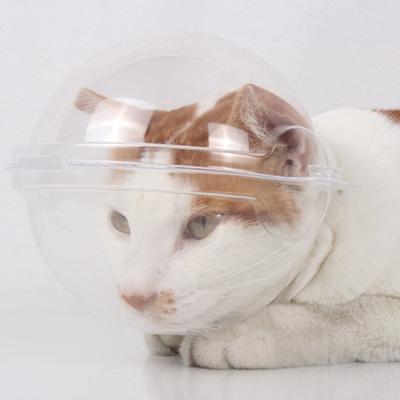 Cat Hood Fastener Tape Adjustable Cat Muzzle Breathable Anti-biting Transparent Pet Hood Pet Supplies