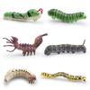 Insect Simulation Larva Model: Children's Cognitive Moth, Jade Belt Swallowtail, Beetle Larva Ornament