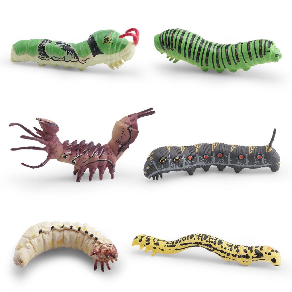 Insect Simulation Larva Model: Children's Cognitive Moth, Jade Belt Swallowtail, Beetle Larva Ornament