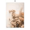 Beige Plant Grass Leaves Dandelion Reeds Posters And Prints Canvas Painting Nordic Wall Art Pictures For Living Room Home Decor