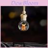 Fashionable Decorative Car Air Freshener With Unique Design For Aromatic Elegance