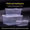Reptile Tank: Versatile Habitat for Turtles, Silkworms, Spiders, Horned Frogs, Geckos, Lizards, and Snails