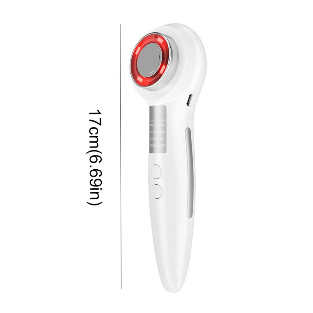 LED Facial Massager 2 in 1 Facial Lifting Massager Portable Face Beauty Device Skin Smoothing