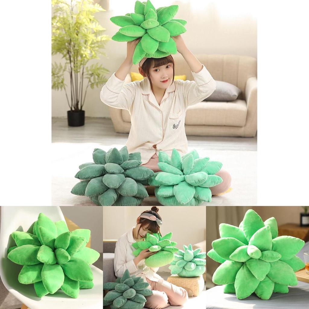 Cozy Plush Succulent Plant Stuff Toys Pillow For Adorable Home Decor And Gifts