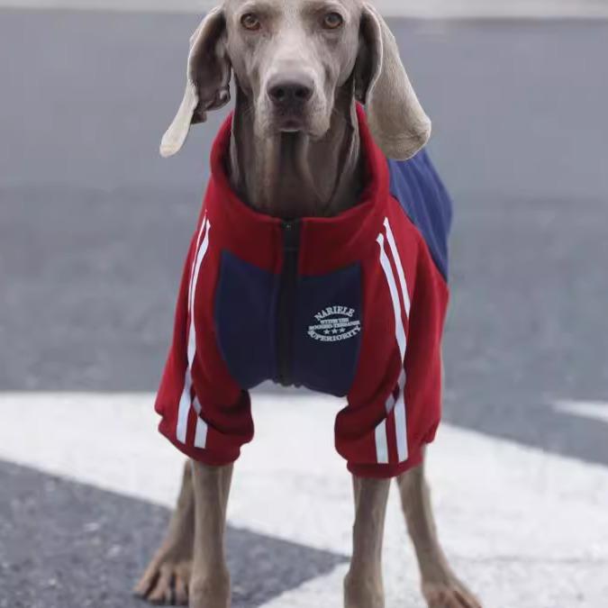 

Dog Sportswear for 2025 Fall Season, Sporty Casual Jacket--Soft Cotton Stylish Sport Outfit For Large Dogs, 5XL Available L