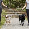 Round Cord Shape Dog Harness Leash Anti-pull Dog Rope  Outdoor Running Exercise