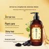 BaWang Anti-Hair Loss He Shou Wu Shampoo