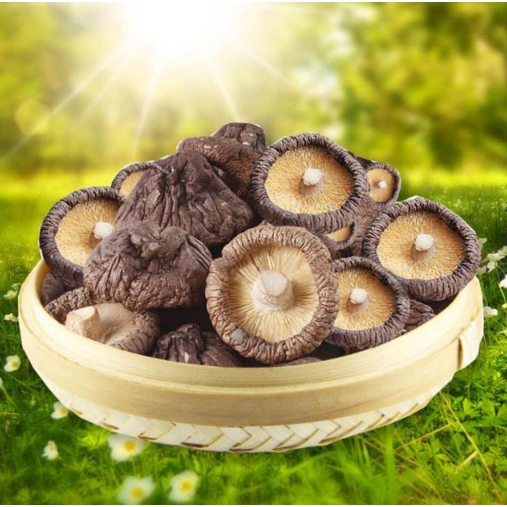Dried Shiitake Mushrooms Edible Fungus Natural Healthy Nutritious Gourmet