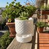 Plastic Succulent Plant Basin Root Control Green Onion Pots Plant Containers  Green Plants