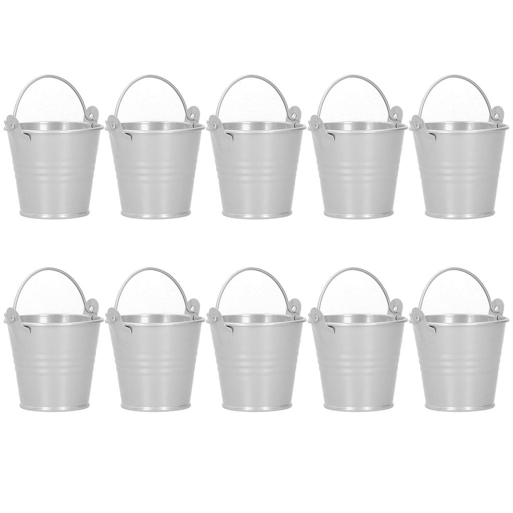 10PCS Flower Pot Mini Succulent Plant Pot Small Metal Bucket for Indoor Outdoor DecorSilver 4x5.5x6cm