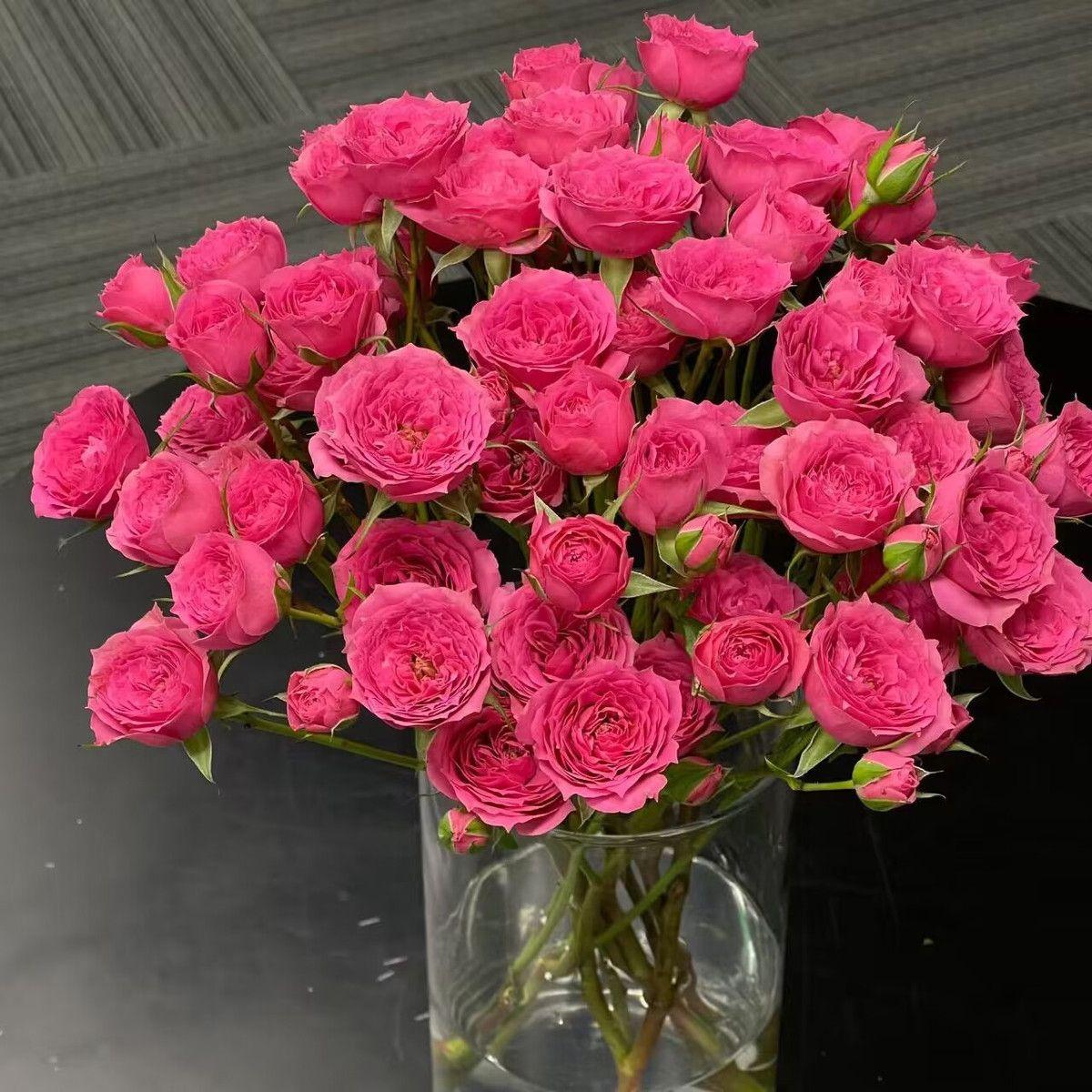 

SophieMulti-headed Rose Bubble Rose Yunnan Kunming Base Straight Hair Искусственные цветы 31 Head