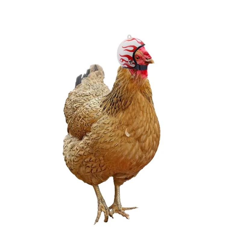 Farm Pet Chicken Helmet Sun Rain Protection Cute Hat For Hens Outdoor Henhouse Protective Gear Fighting Cock Funny
