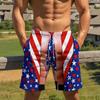 Unique and Fun Men's Fashion Hawaiian Beach Shorts, Funny Fake Two-Piece Printed Casual Shorts