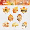 8Pcs Pack Leaf Landscape Creative Sticker Pack Fresh Healing Journal Collage Decor Decals