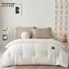 Fucheer Porong Composite Fiber Spring/Autumn Quilt