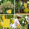 Yellow Double-Sided Sticky Trap - Insect Lure for Garden, Potted Plants, Greenhouse, Orchard Pest Control